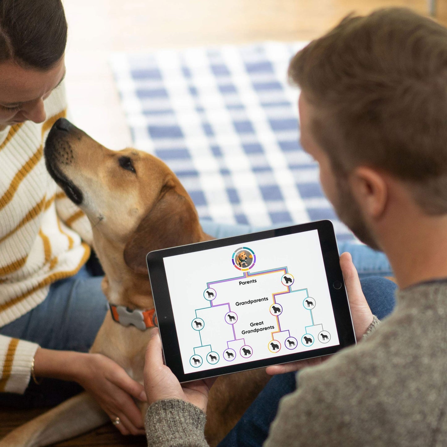 Dog Breed ID DNA Test Kit