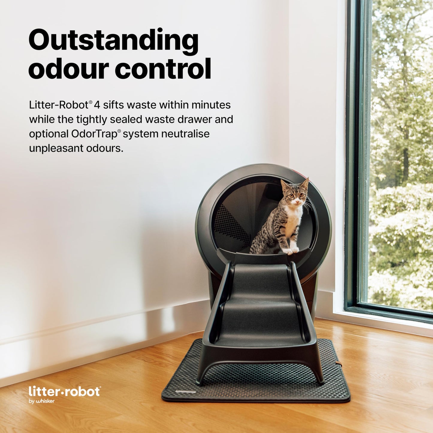 Whisker Litter-Robot 4 Ramp & Cat Stairs