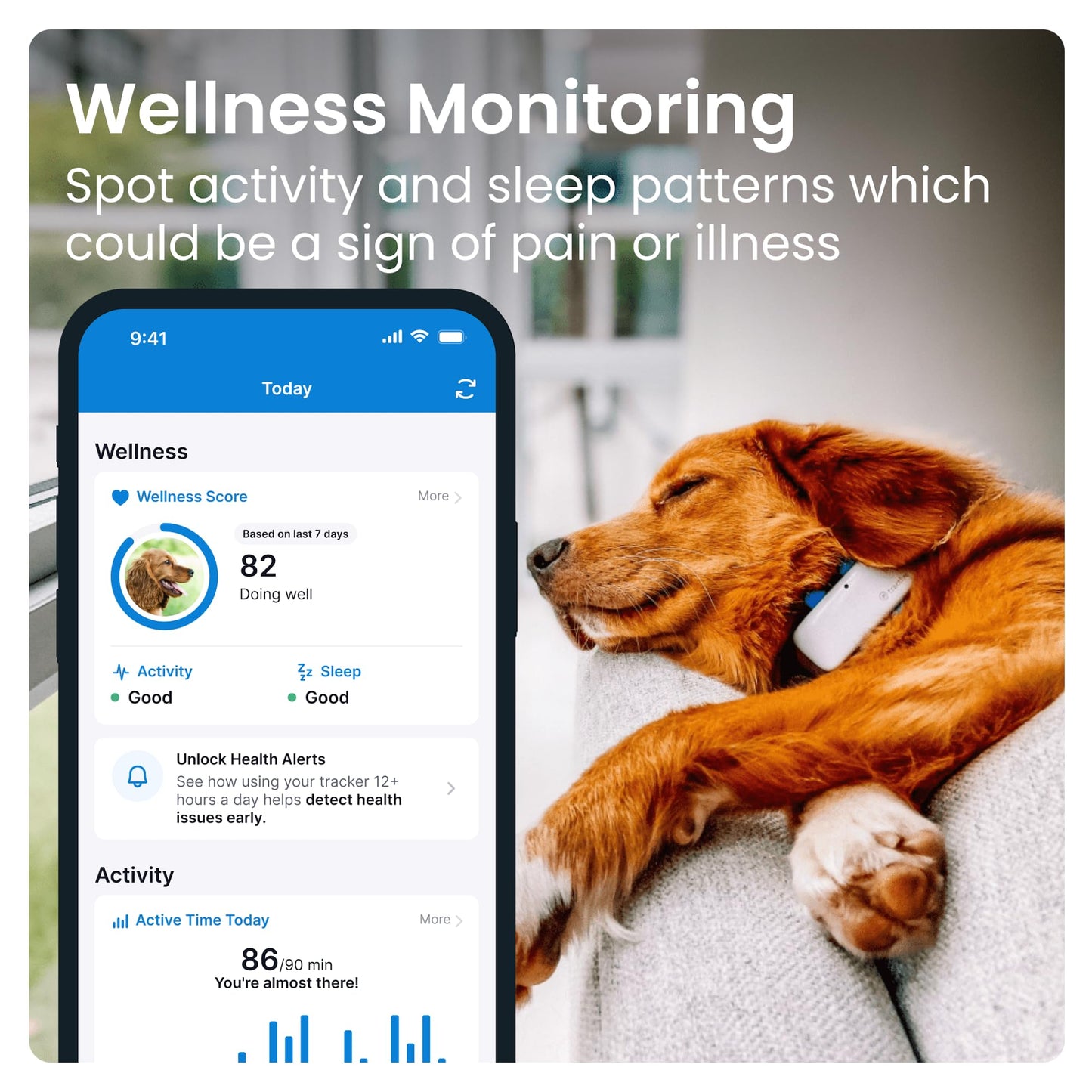 Dog GPS Pet Tracker - Midnight Blue