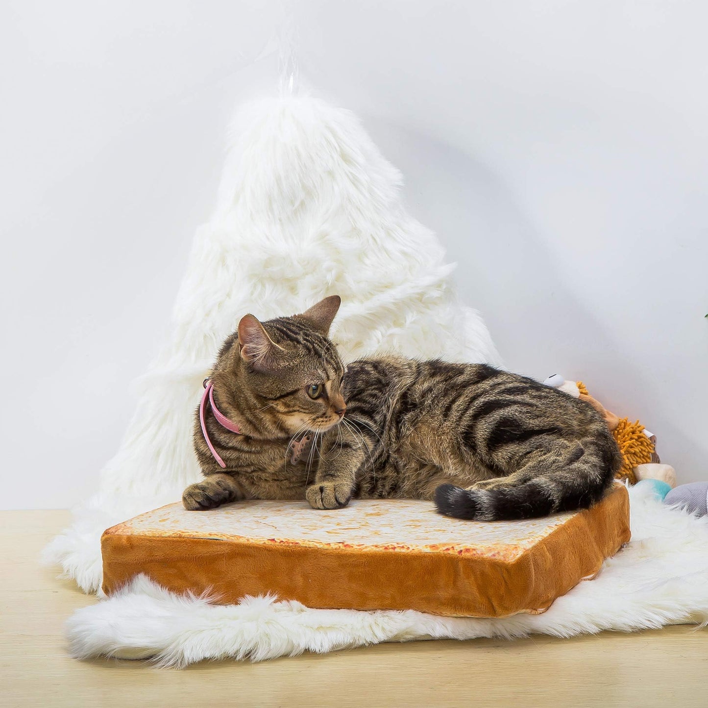 Toast Bread Slice Cat Bed