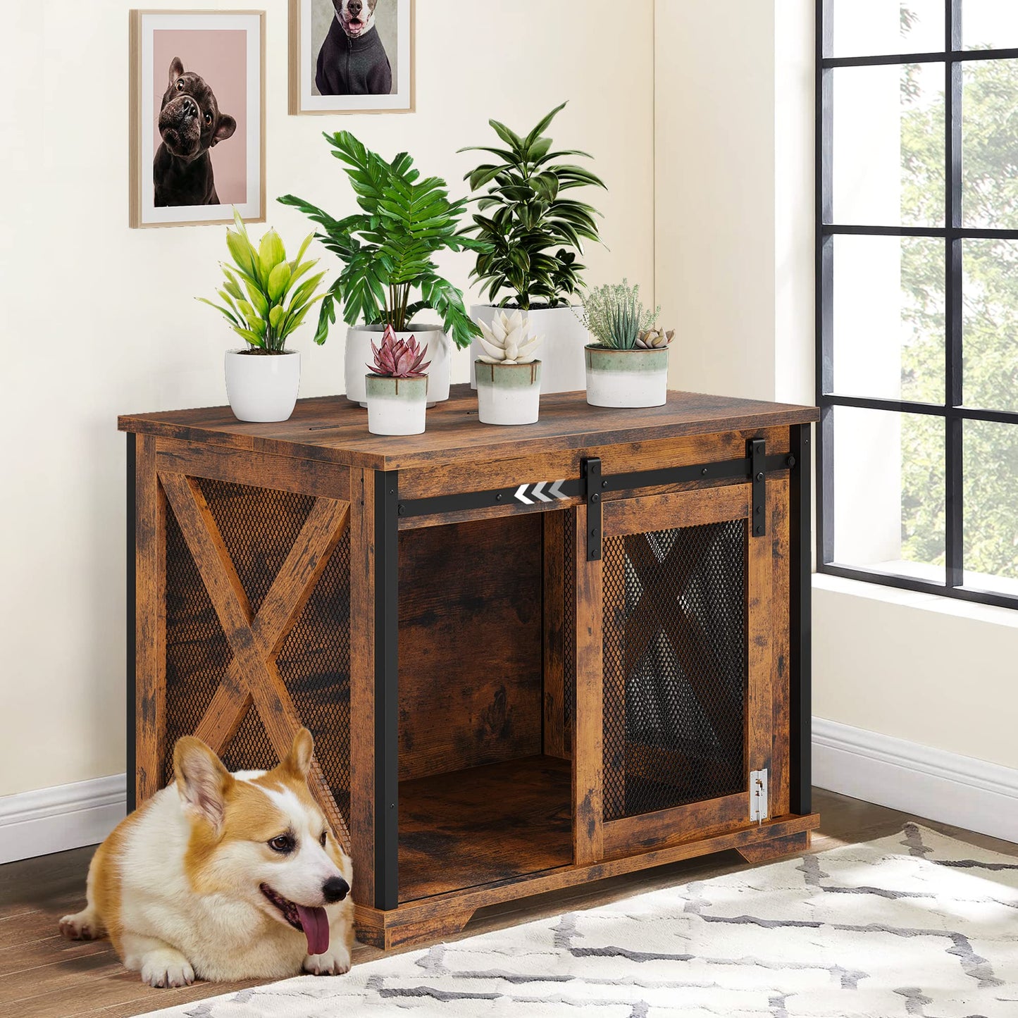 Dog Crate