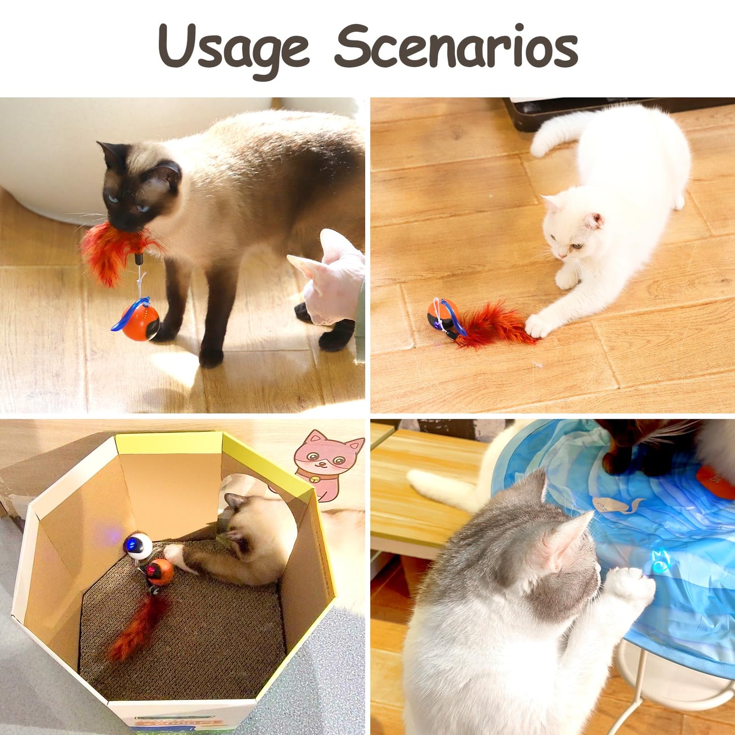 Interactive Cat Toy Set