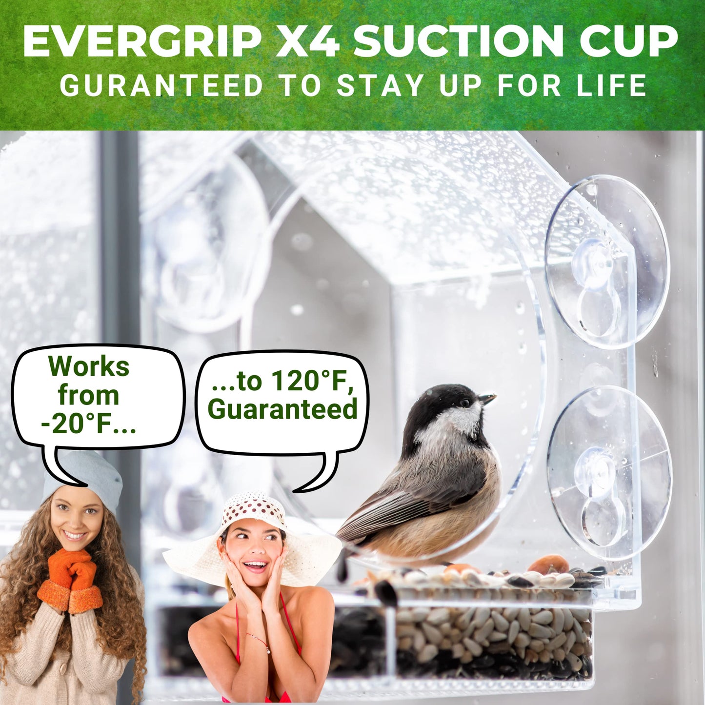 Transparent Window Bird Feeder
