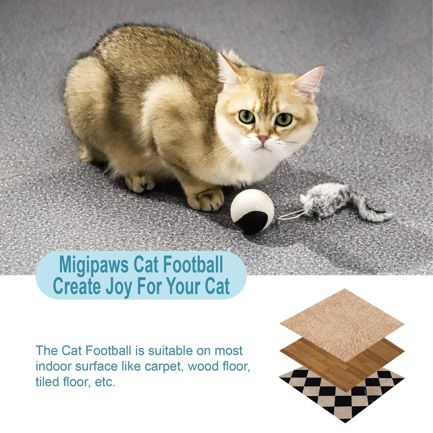 Interactive Cat Toy Set