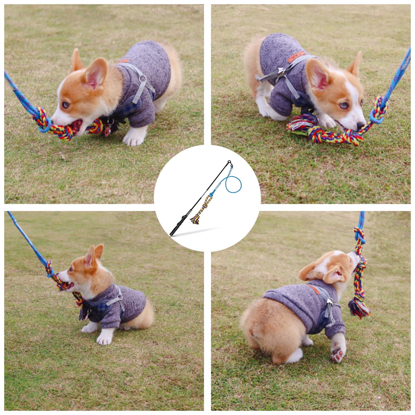 Flirt Pole Dog Toy - Interactive Exercise