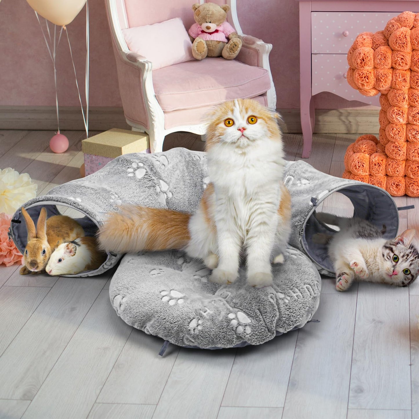 Cat Tunnel Bed