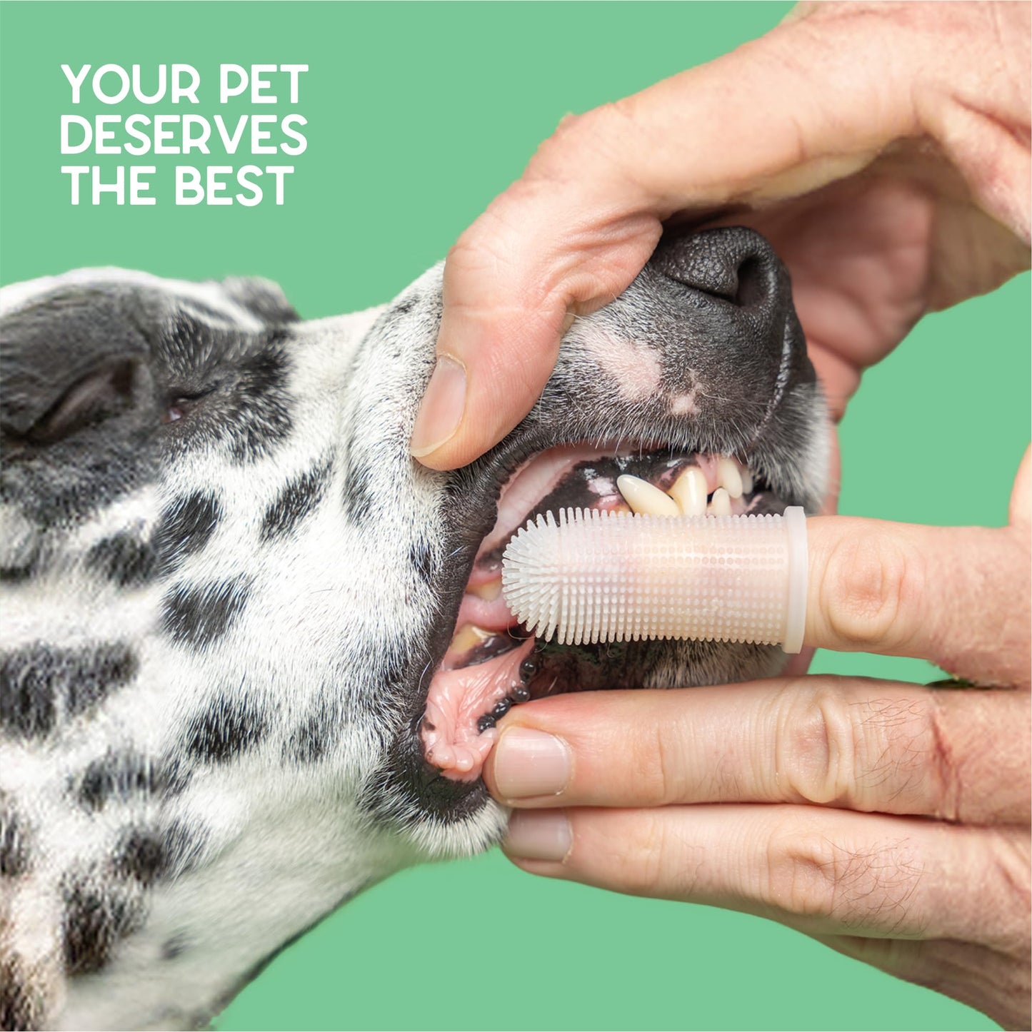Dog Teeth Cleaning Gel And Finger Toothbrush