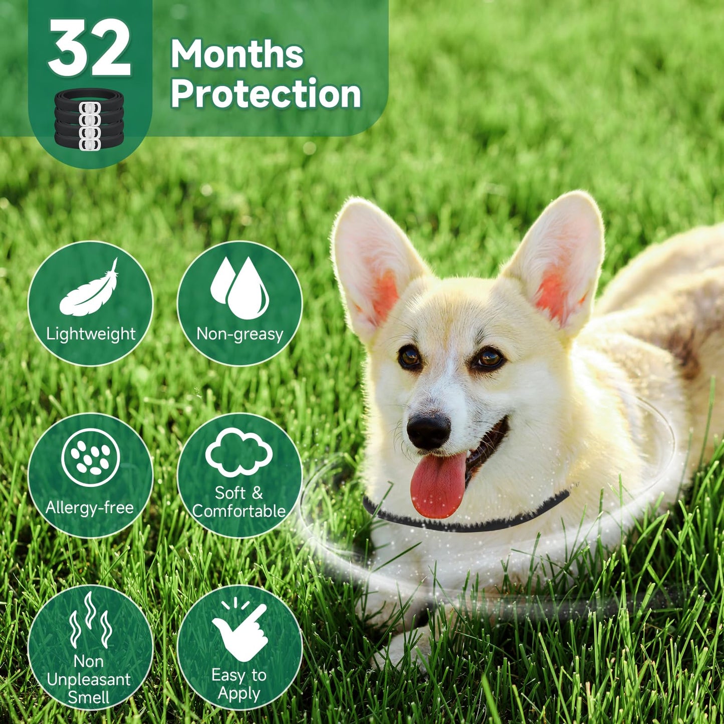 Flea and Tick Prevention for Cats