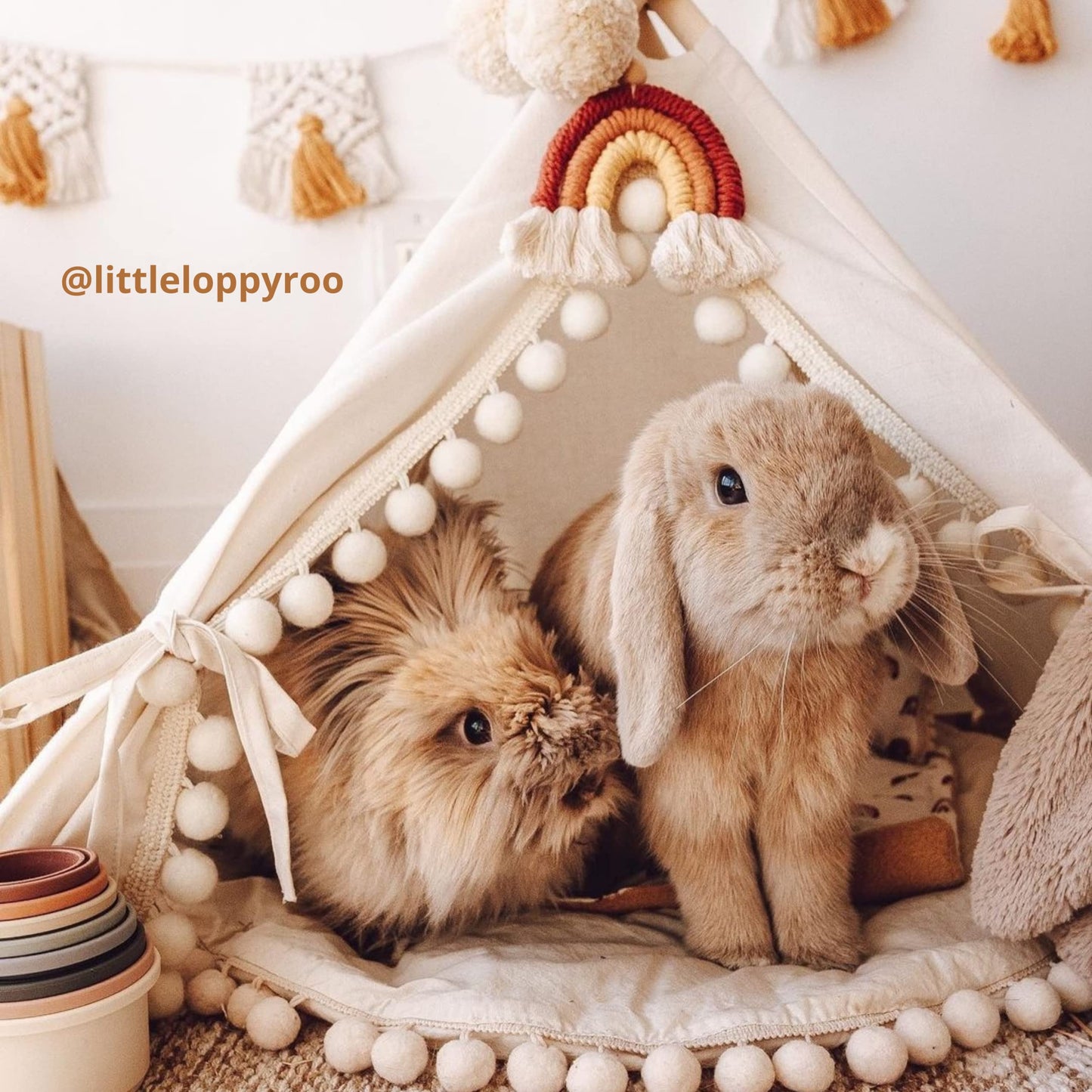 Cozy Small Dog Bed - Cat Teepee