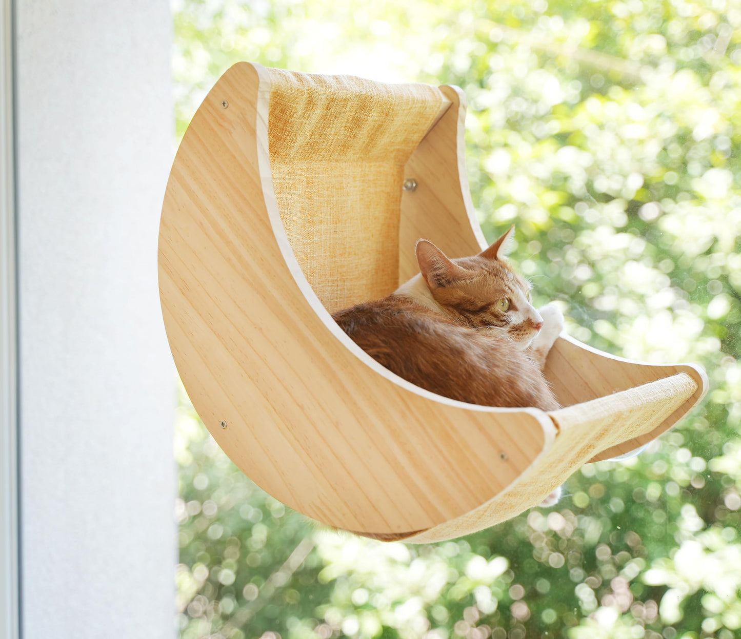 Window Cat Bed with Suction Cups