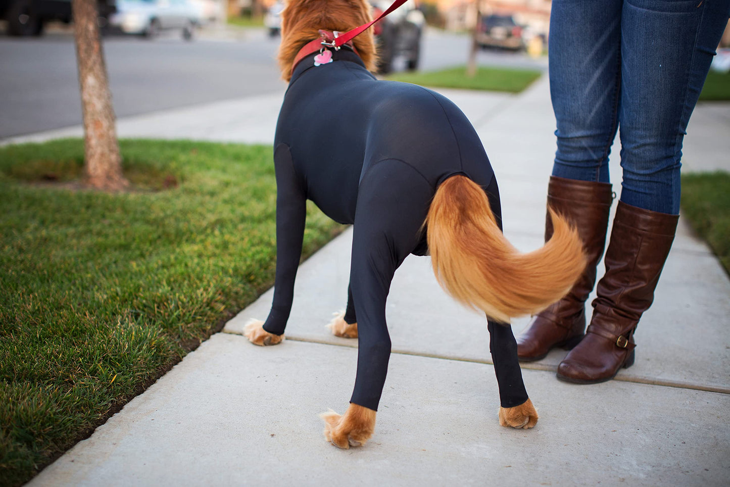 Dog Onesie for Shedding & Recovery - Seen on Shark Tank