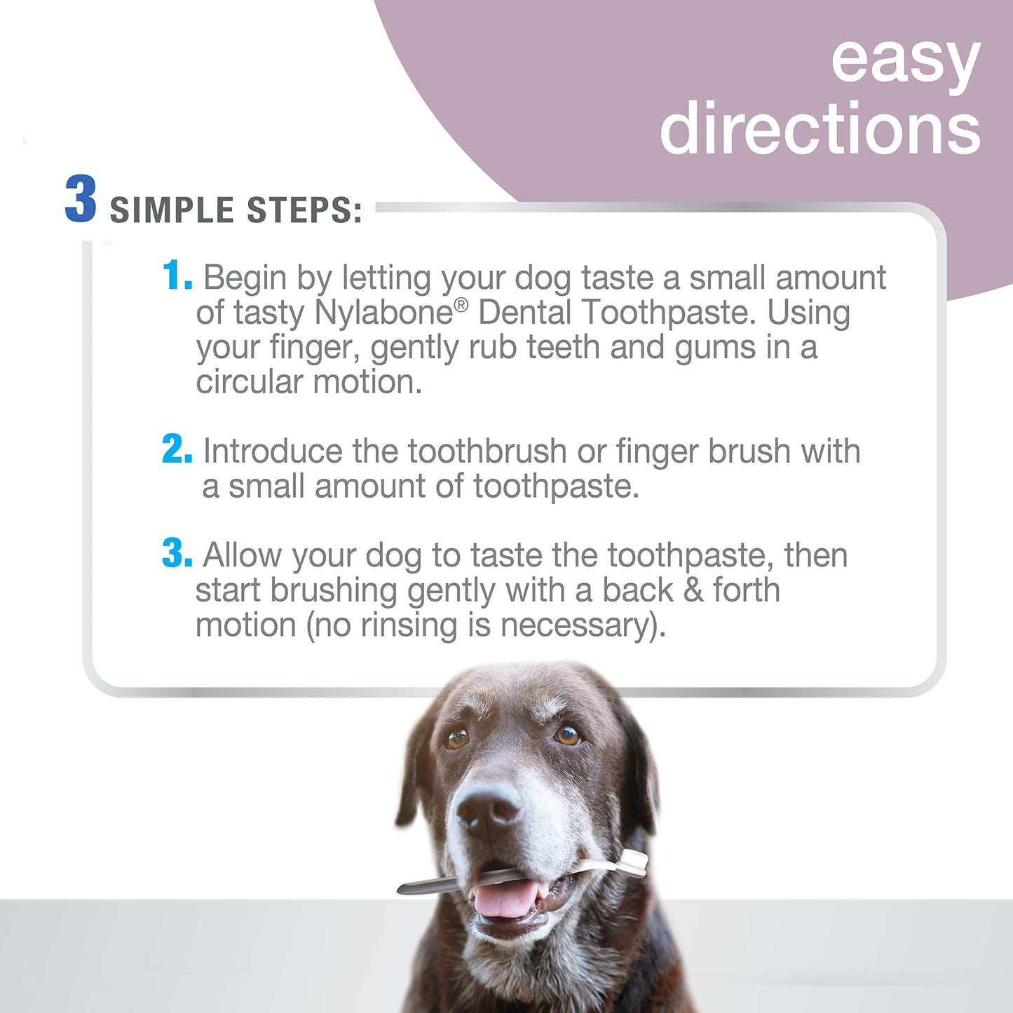 Senior Dog Dental Kit with Cushiony Soft-Bristle Toothbrush