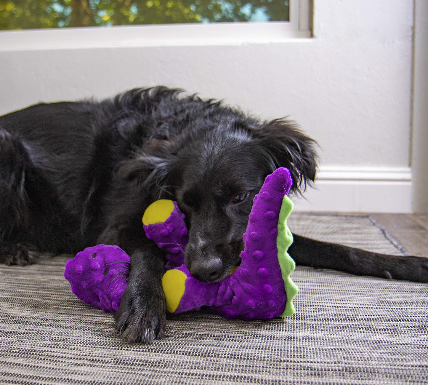 Dinos Squeaky Plush Dog Toy - Large