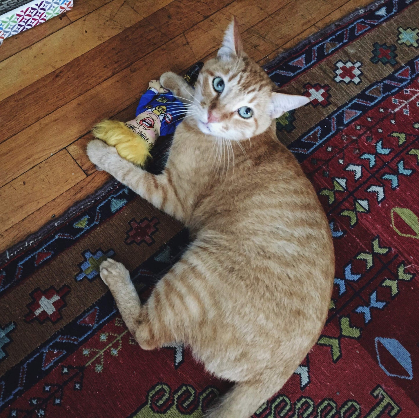 Trump Parody Catnip Toy