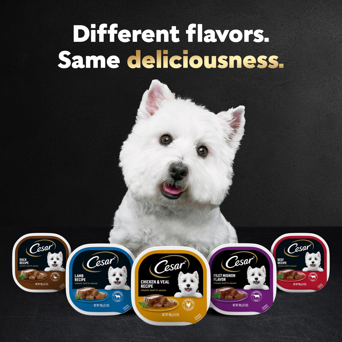 CESAR Wet Dog Food Variety Pack - 24 Trays