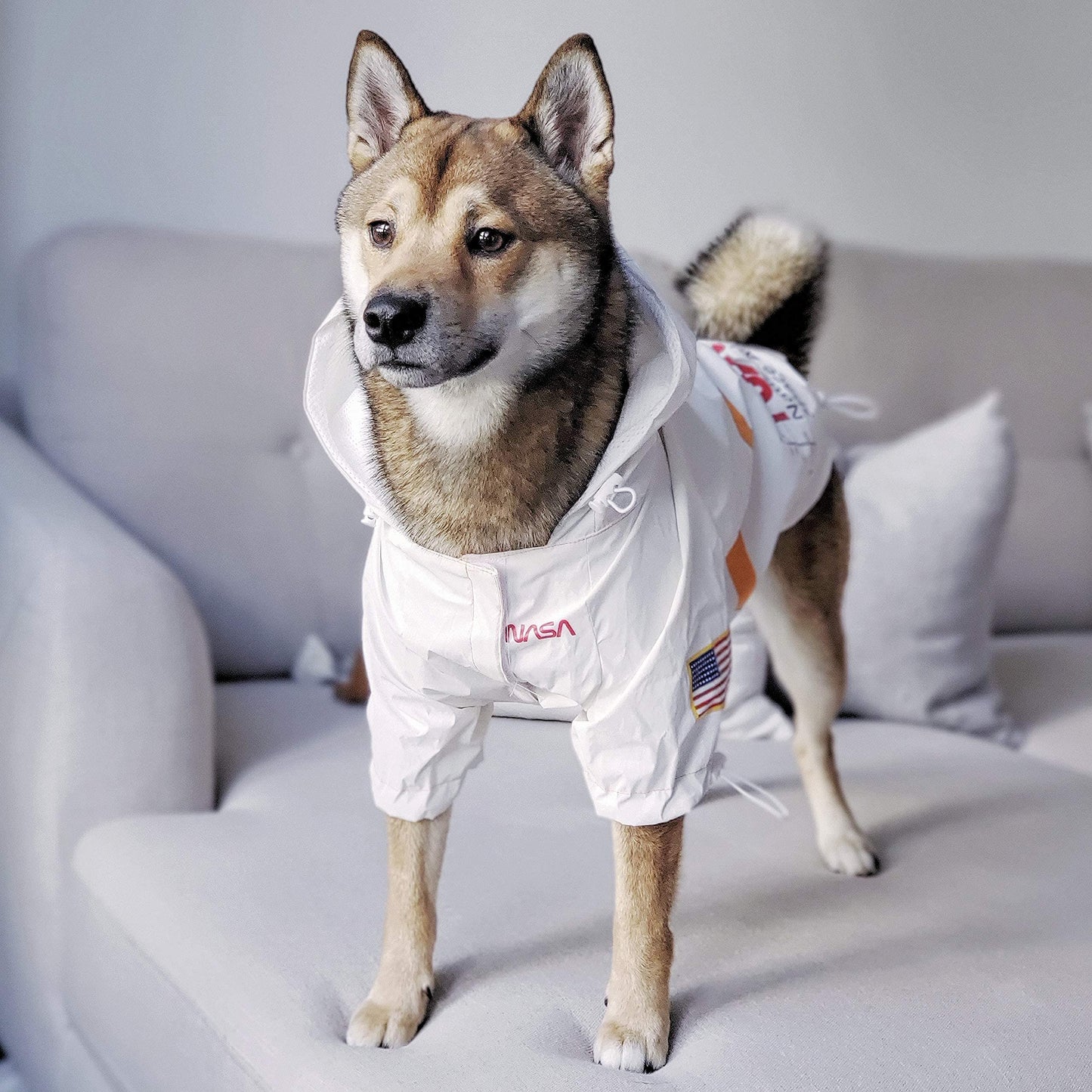 NASA Dog Raincoat - Reflective Waterproof