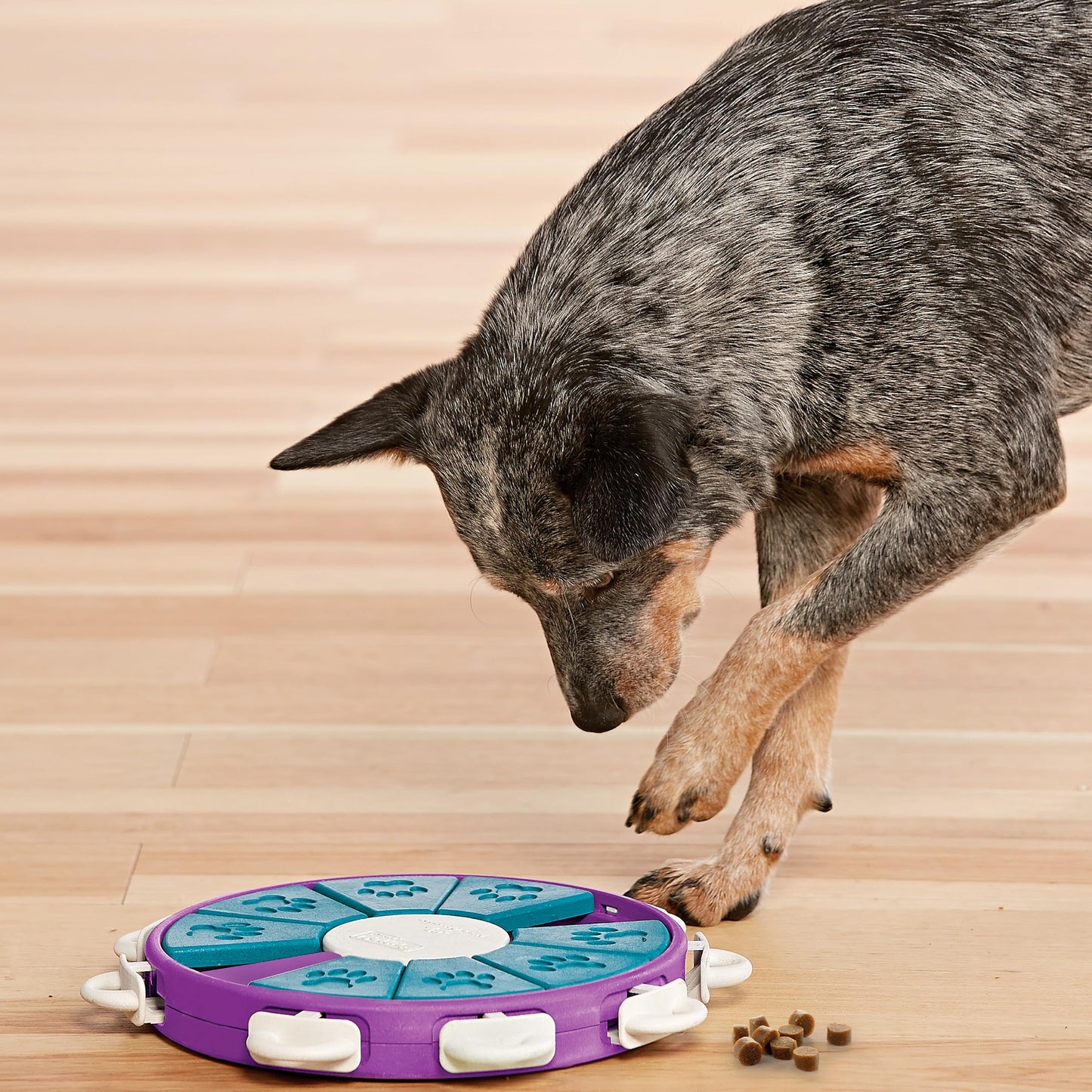 Nina Ottosson Dog Puzzle - Level 3
