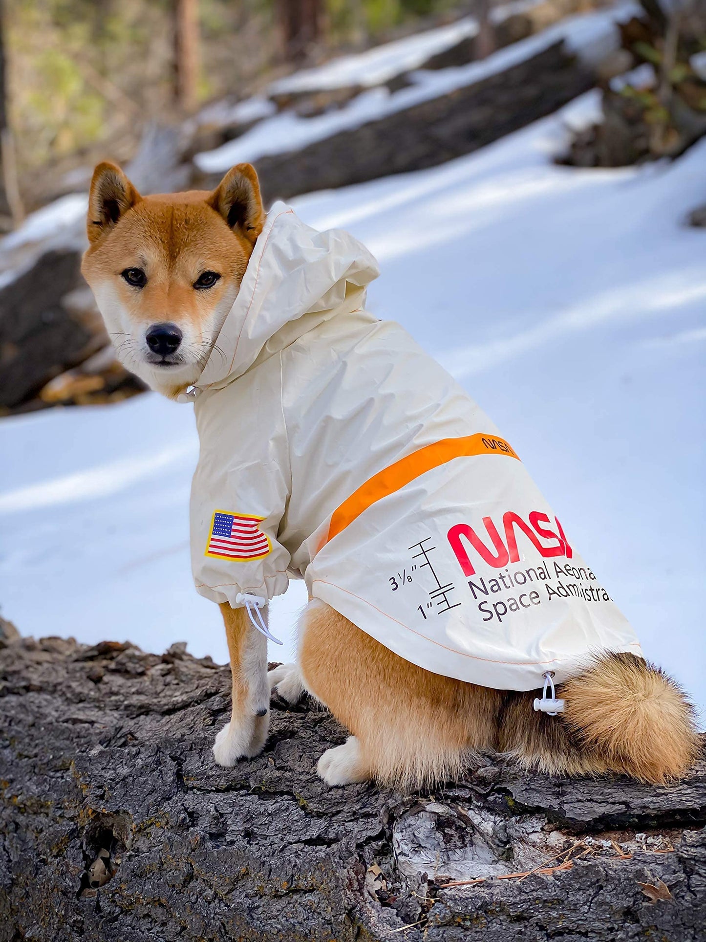 NASA Dog Raincoat - Reflective Waterproof