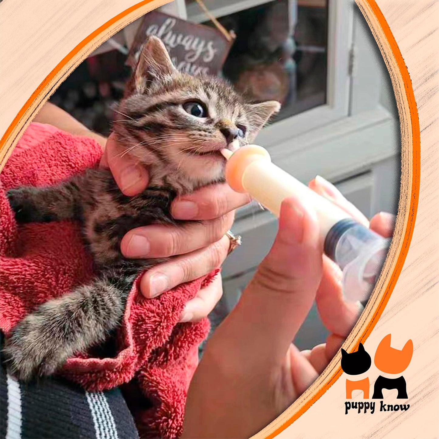 Pet Feeding Nipple for Kitten and Puppy