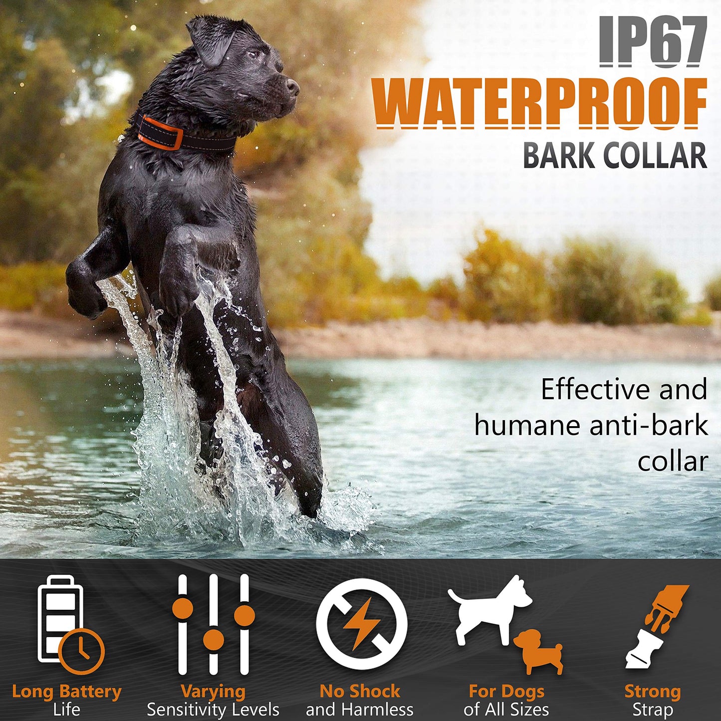No Bark Collar for Dogs - Beep & Vibration