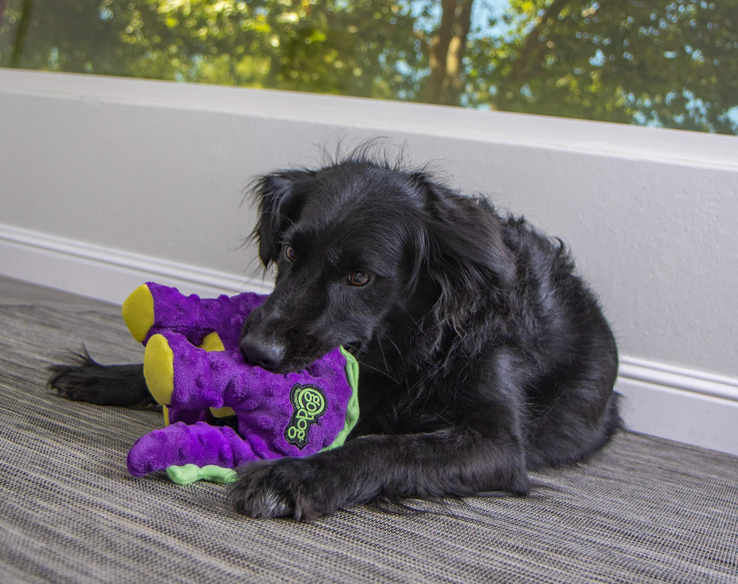 Dinos Squeaky Plush Dog Toy - Large