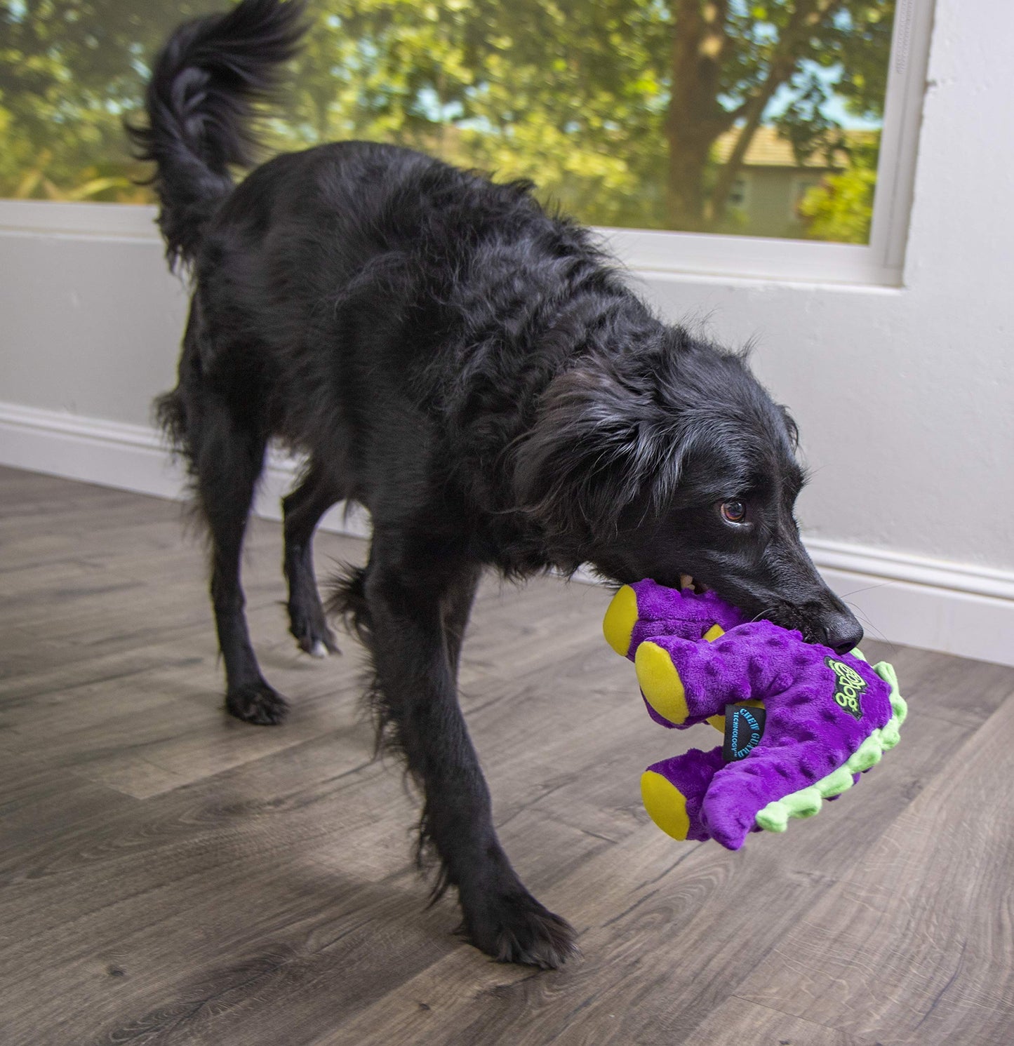 Dinos Squeaky Plush Dog Toy - Large