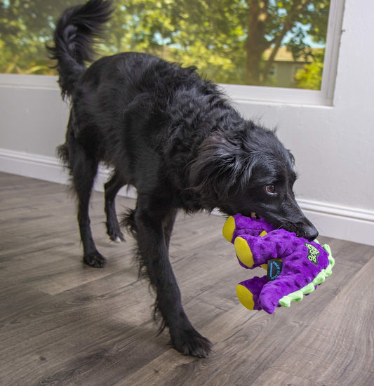 Dinos Squeaky Plush Dog Toy - Large