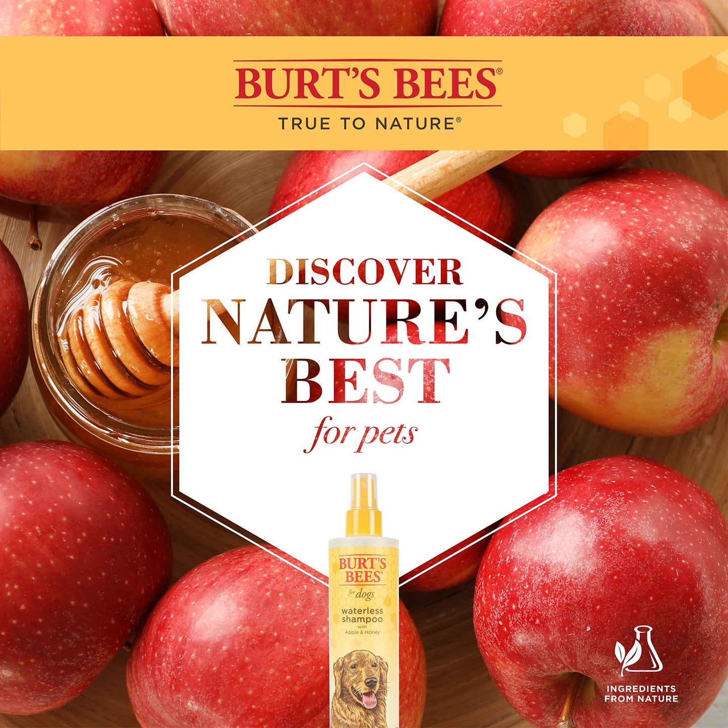 Waterless Dog Shampoo Spray - Apple & Honey