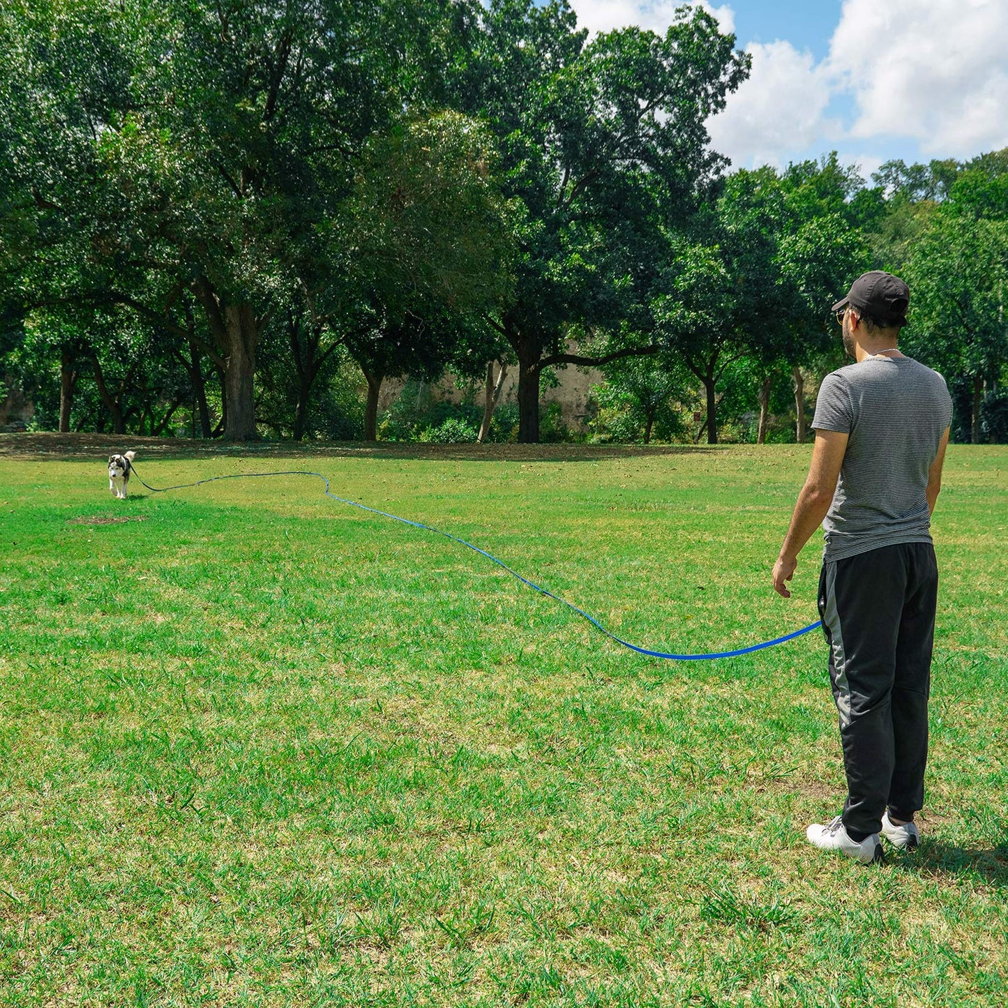 Dog/Puppy Obedience Recall Training Agility Lead