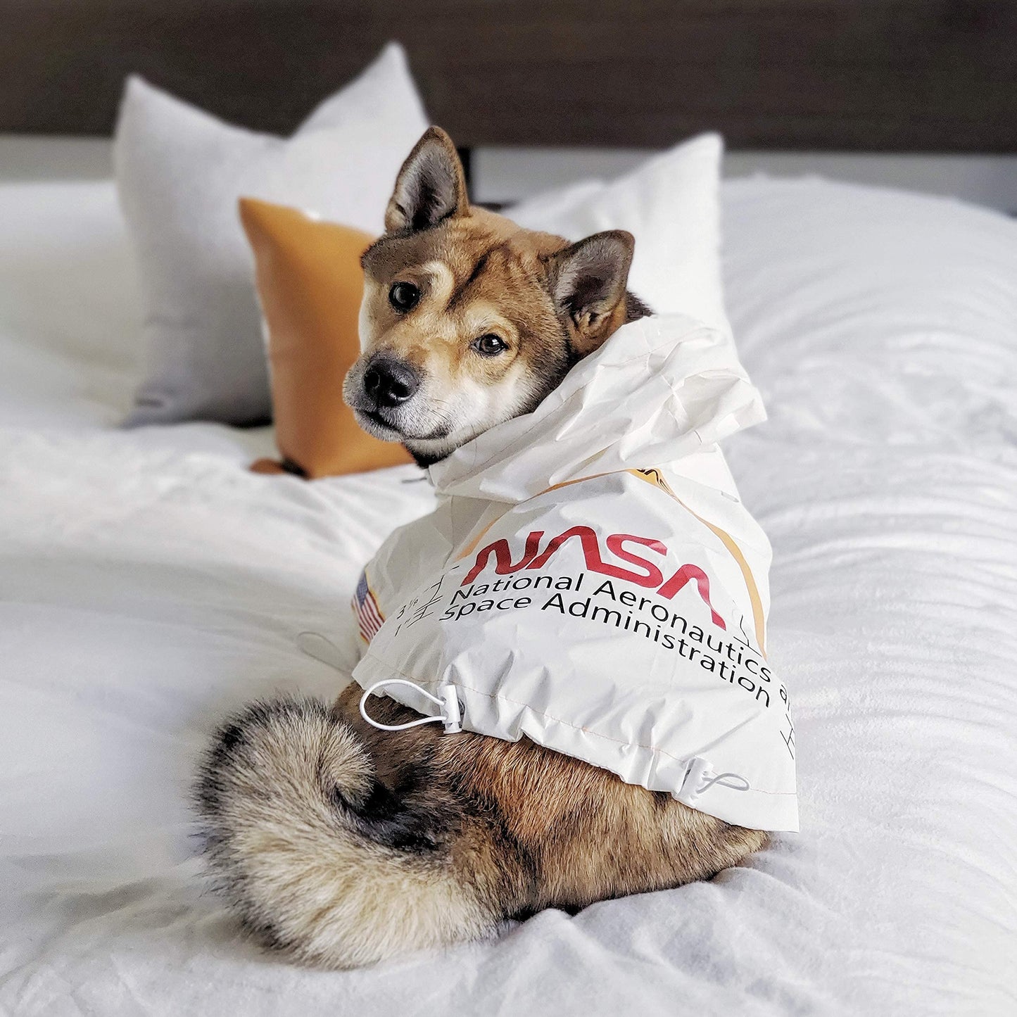 NASA Dog Raincoat - Reflective Waterproof