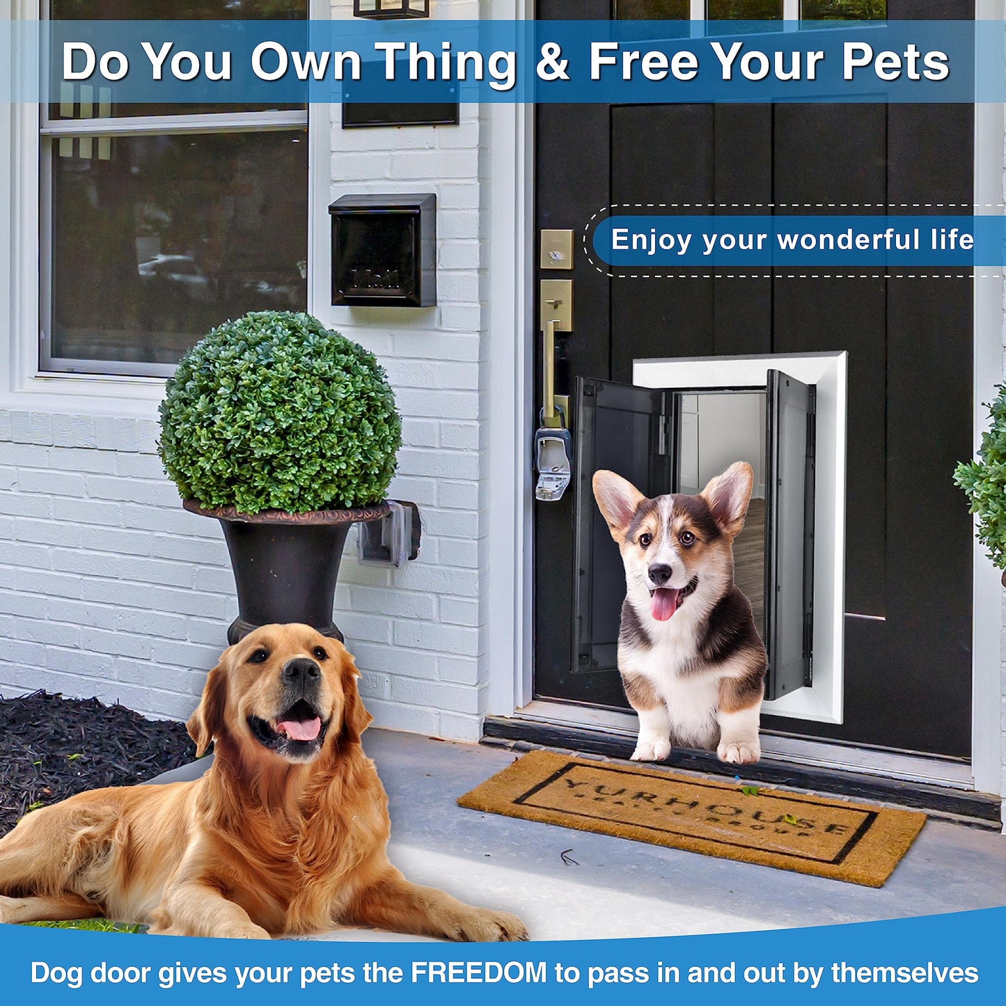 Aluminum Dog Door with Double Panels
