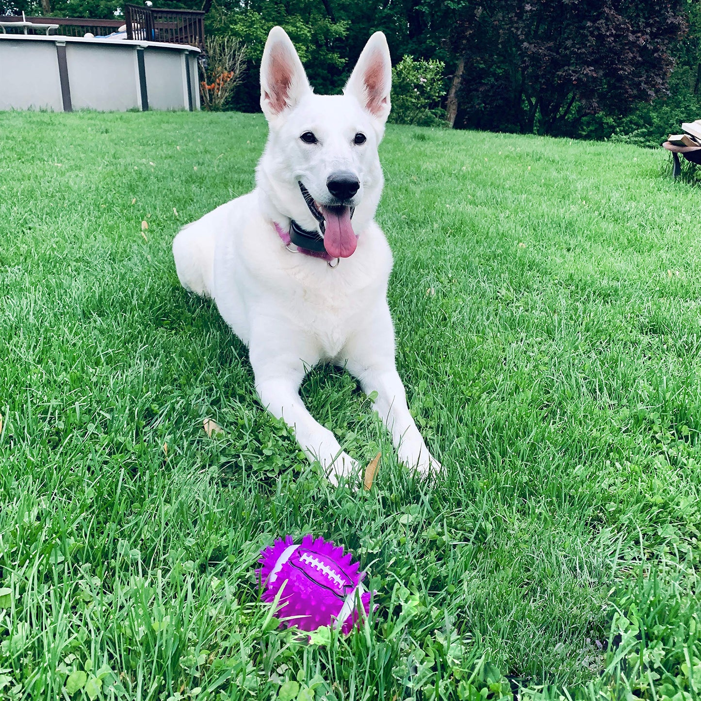 Spiky Squeak & Light Football Dog Toy