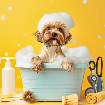 Pet Grooming and Care