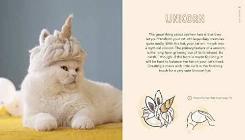 Cat-Hair Hats Crafting Book