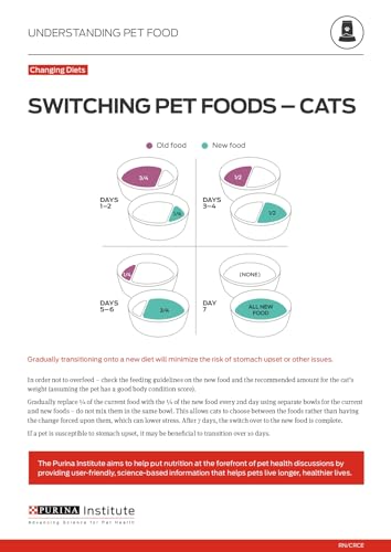 High Protein, Natural Senior Dry Cat Food