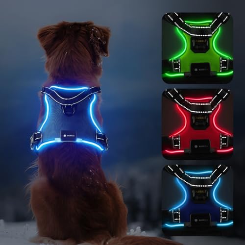 Lighted Dog Harness - Rechargeable LED