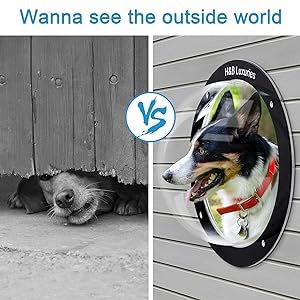 Durable Acrylic Dome Dog Window for Fence
