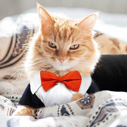 Cat Tuxedo Shirt