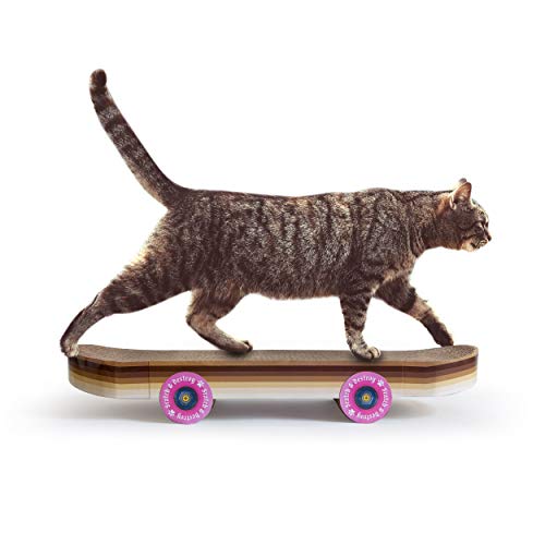 Skateboard Cat Scratcher - Indoor Cats