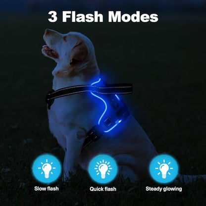 Lighted Dog Harness - Rechargeable LED