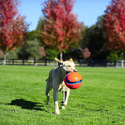 Kick Fetch Ball Dog Toy - Large