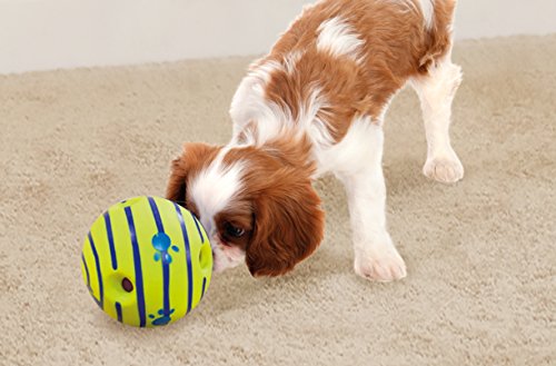 Giggle Ball, Interactive Dog Toy