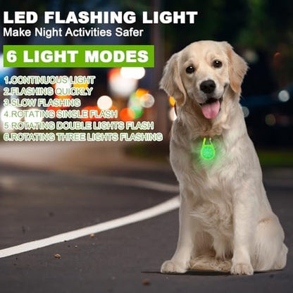 Dog Lights for Night Walking - USB Rechargeable