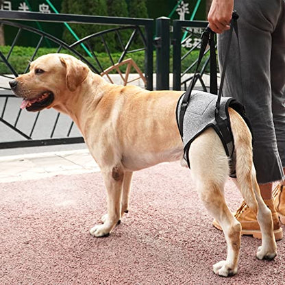 Dog Sling for Large Dogs Hind Leg Support to Help Rehabilitate