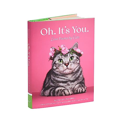 Love Poems by Cats