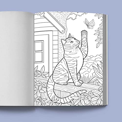 Stress Relief Cat Coloring Book for Adults