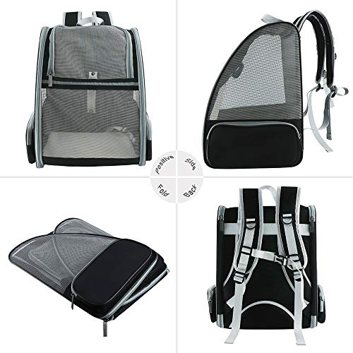 Bubble Backpack Pet Carrier - Black