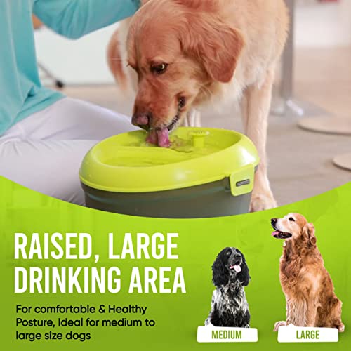 Large Dog Water Fountain - Automatic & Filtered