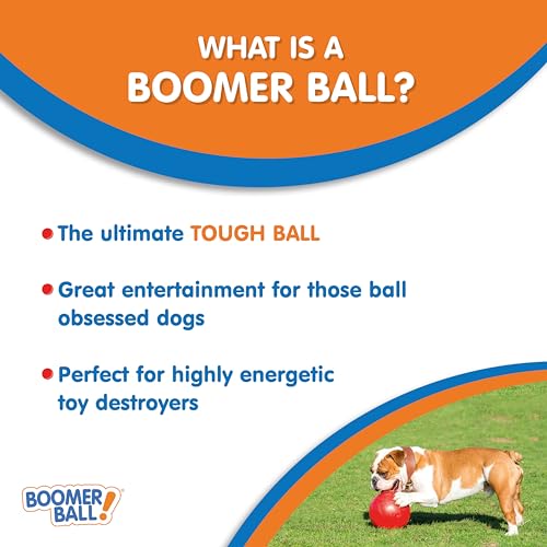 10" Indestructible Dog Ball - Boomer Ball