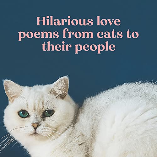 Love Poems by Cats